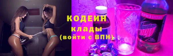 стаф Богданович