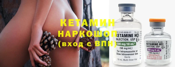 стаф Богданович