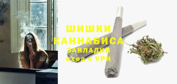PSILOCYBIN Бугульма