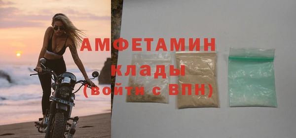 стаф Богданович
