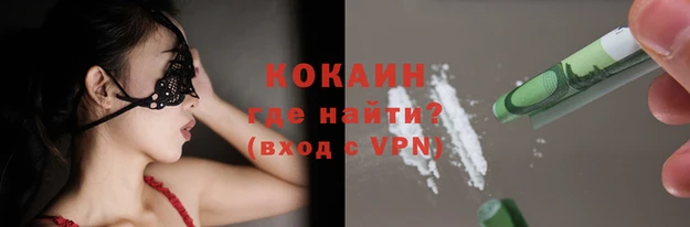 шишки Бронницы