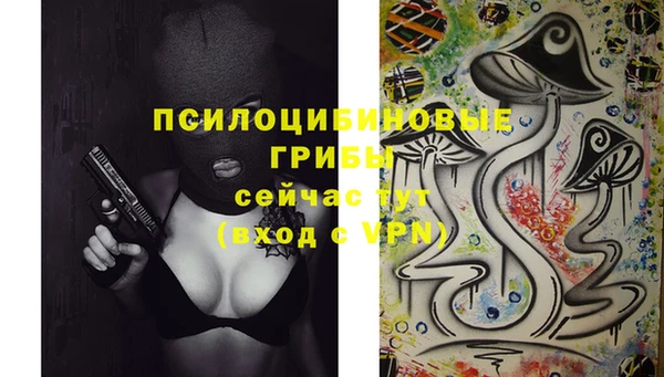 герыч Бородино