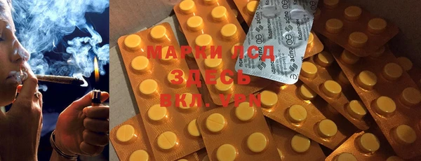 стаф Богданович