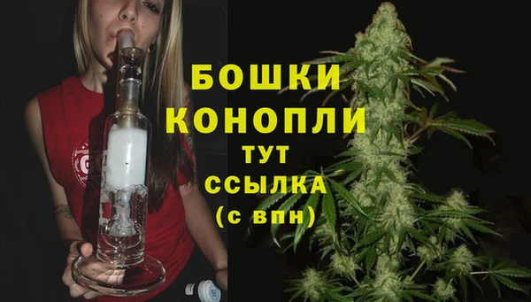стаф Богданович